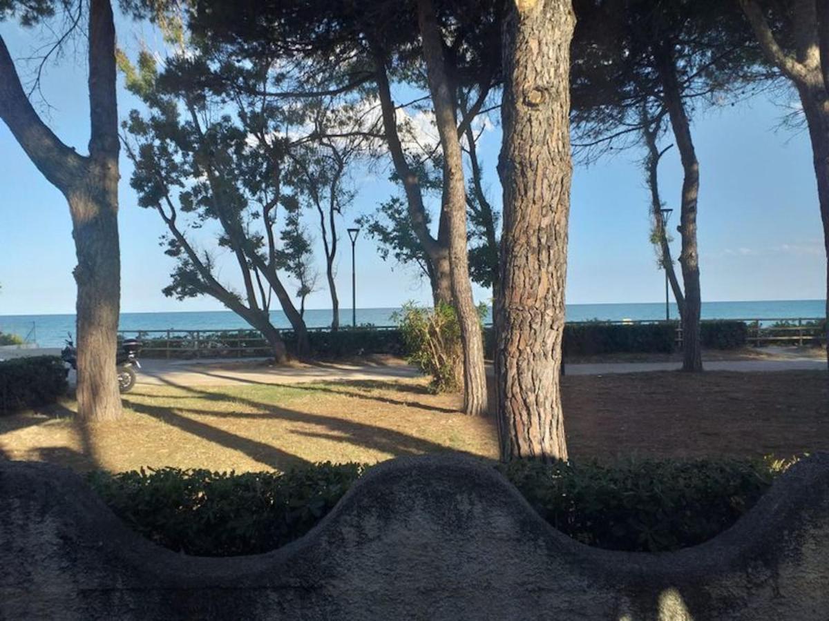 Room In Bb - Spacious Double Room Beside The Sea Pineto Buitenkant foto