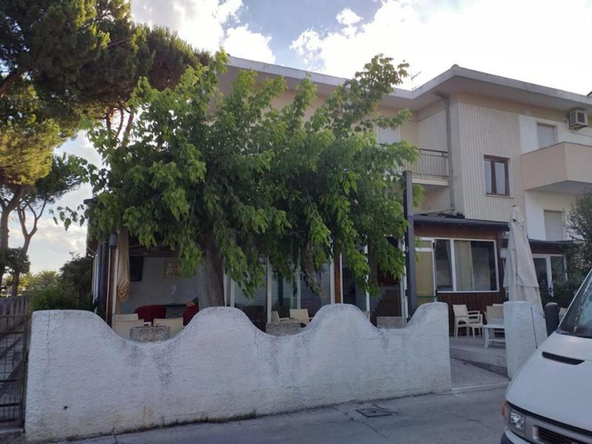 Room In Bb - Spacious Double Room Beside The Sea Pineto Buitenkant foto