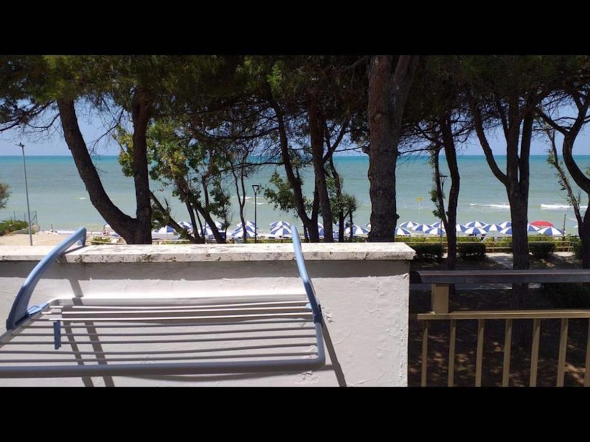 Room In Bb - Spacious Double Room Beside The Sea Pineto Buitenkant foto